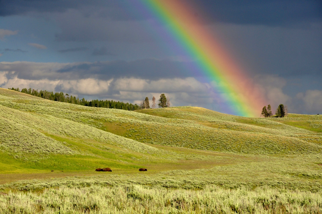 rainbow near green grass ranges